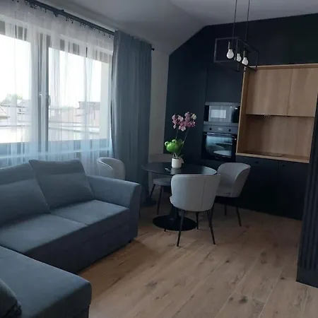 Z Duzym Tarasem, Bezplatny Parking, Awg Apartmán Krakov